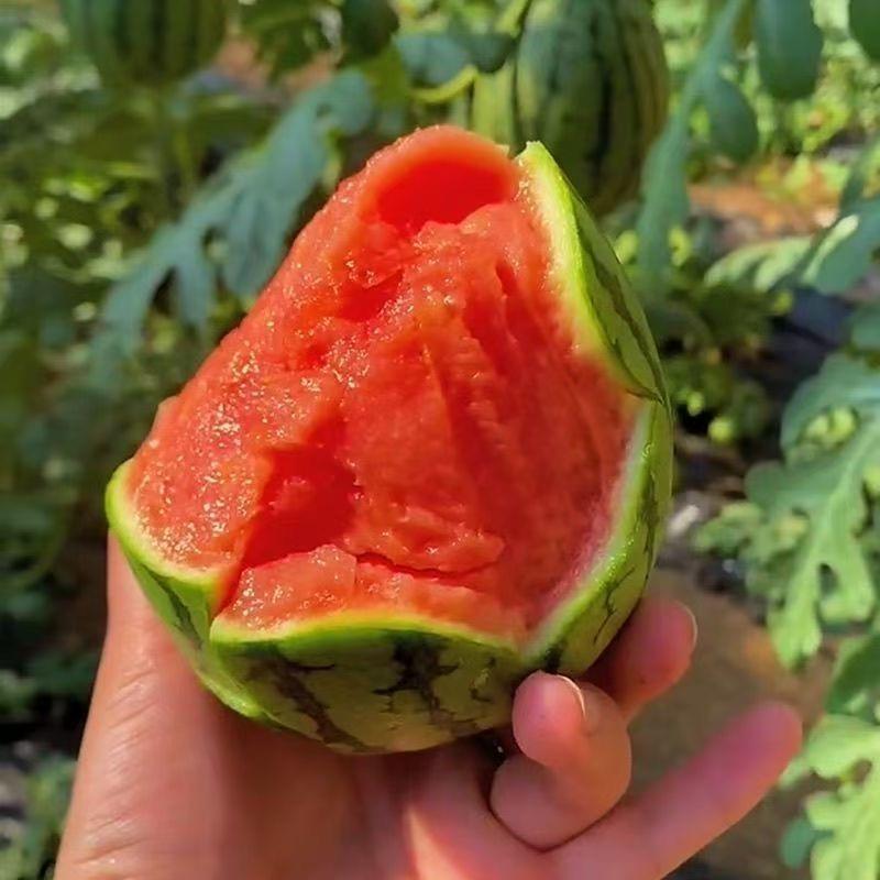 彩虹果蔬
