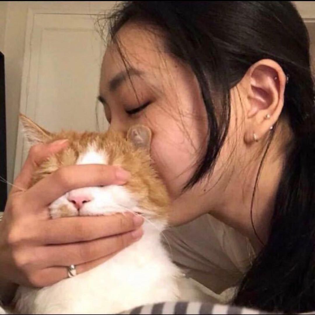 6琴