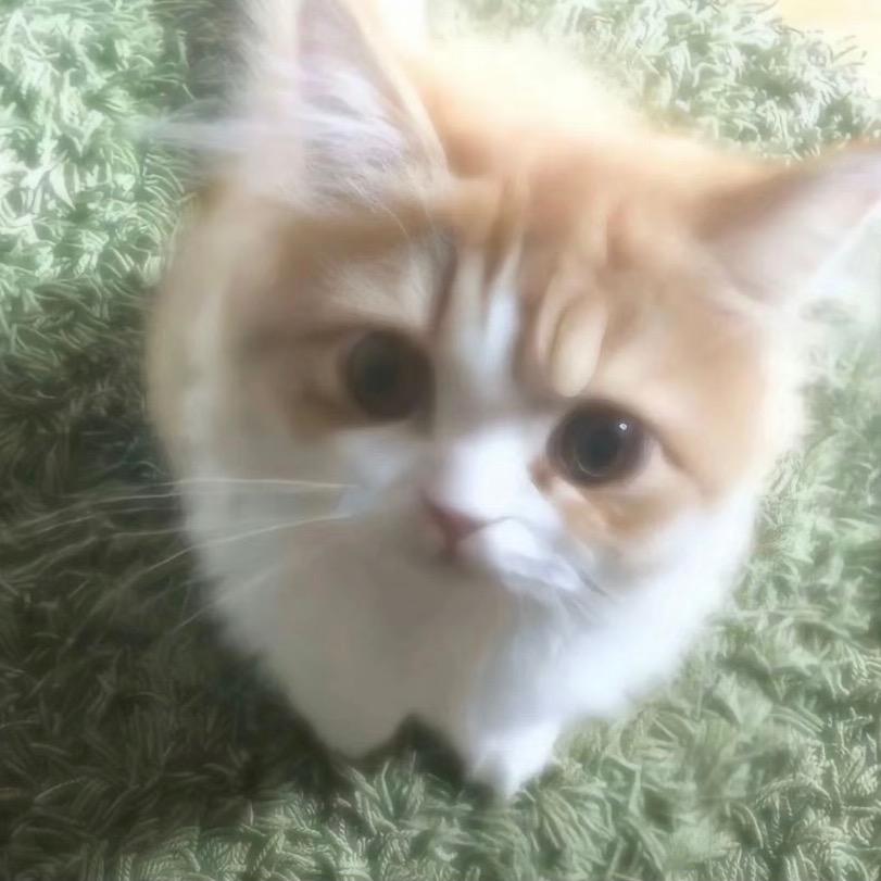 还贼王