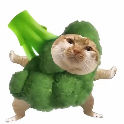 l롲
