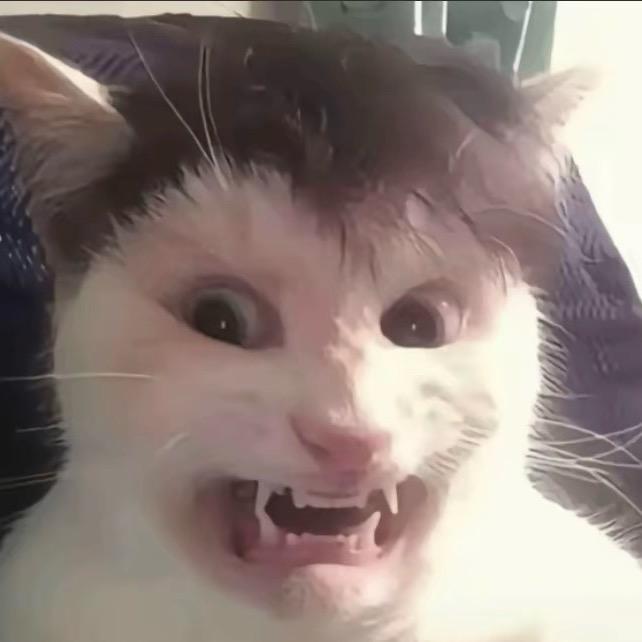 缺马内