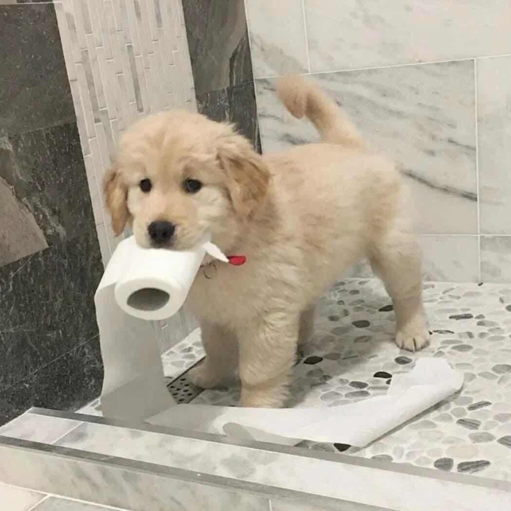 早点睡