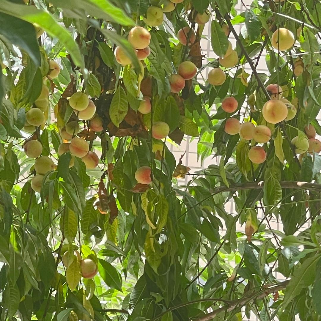 化学老师海洋哥（重八）