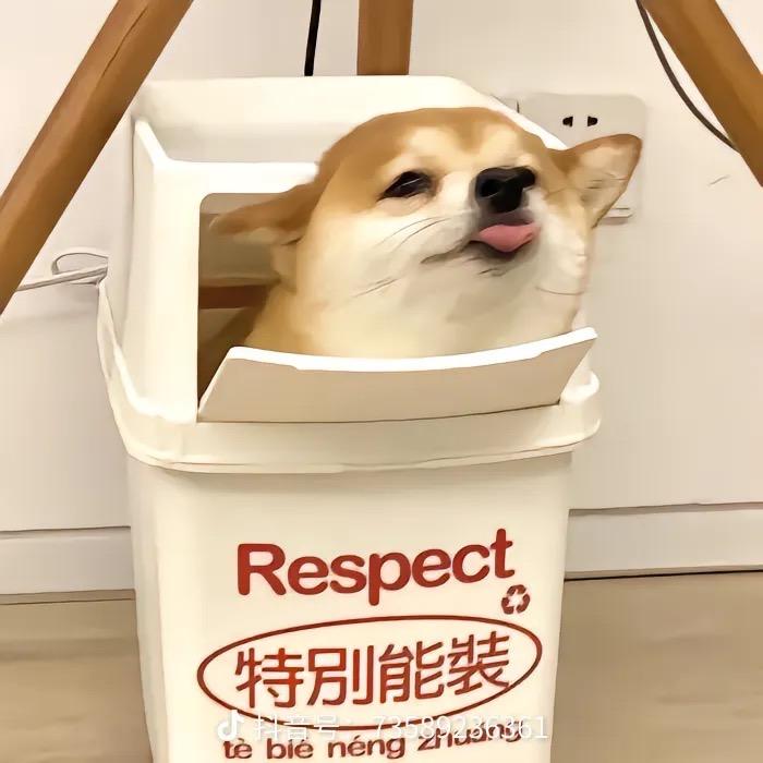 无言风