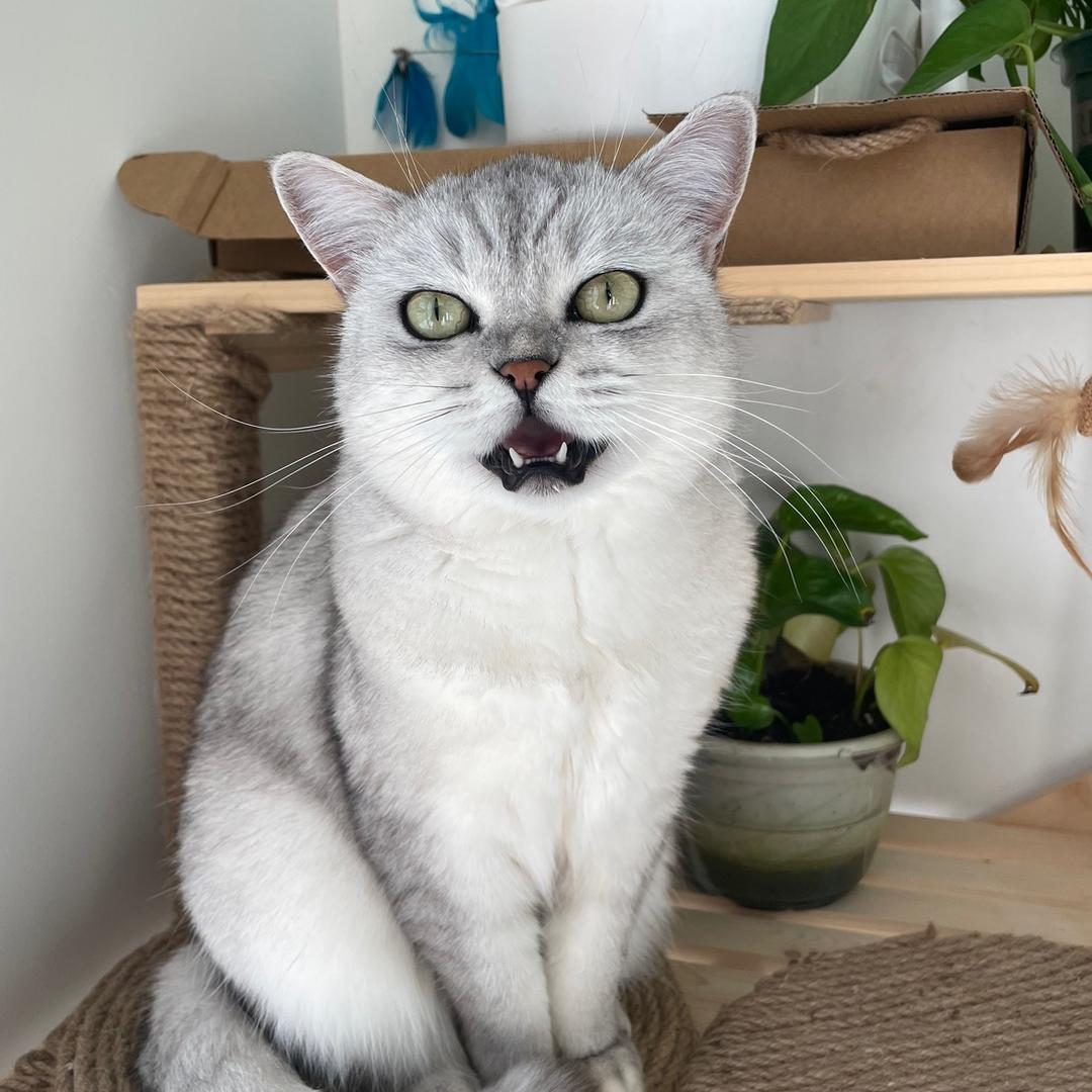 🌈🌈🌈🌈天赐