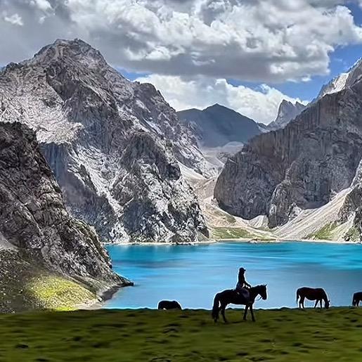 安溪县虎邱镇董清采百货零售超市