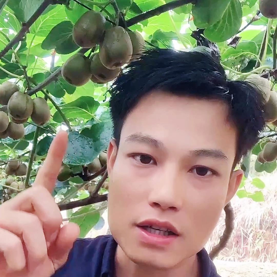 汇果鲜（阿银）
