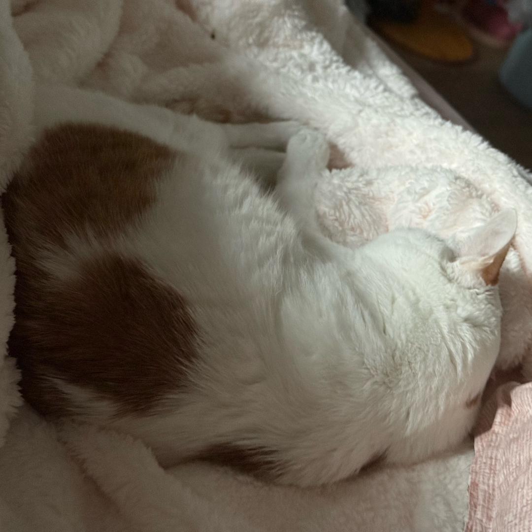 早睡1点