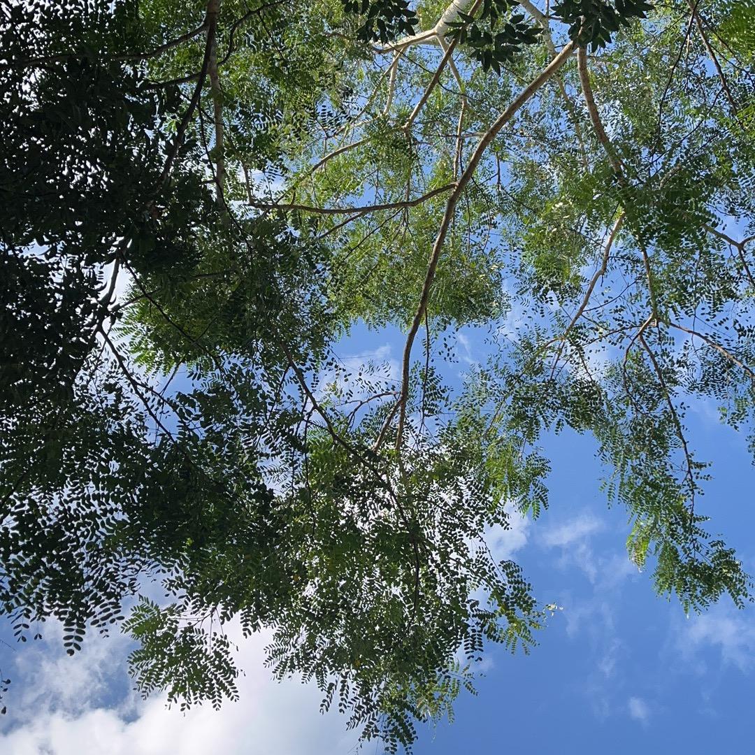 3⃣️5⃣️好运连连