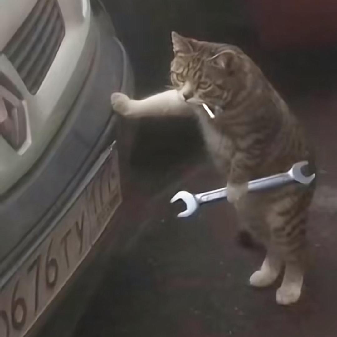 骑老奶奶闯红灯