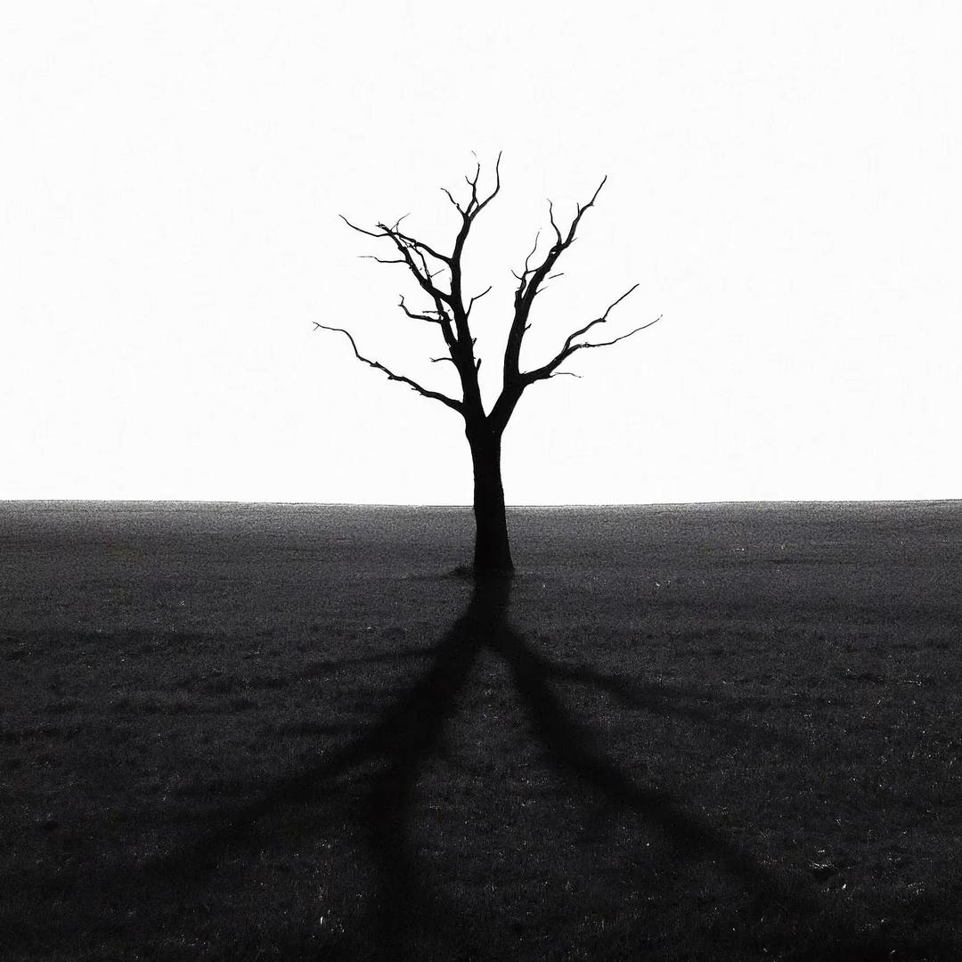 饿了吃空气