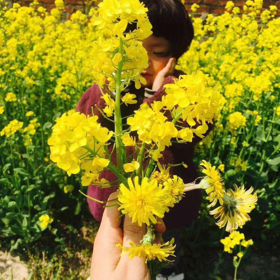 琪琪（故事会）