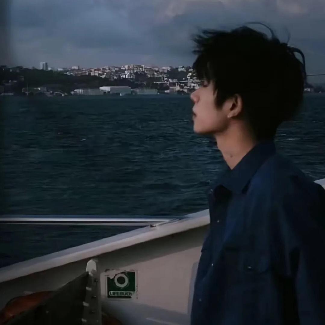 白鸽-D O V E