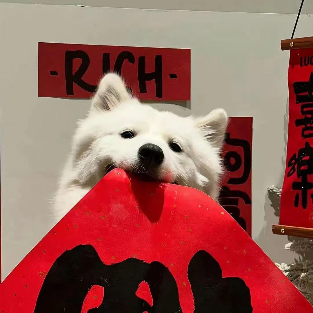 好叔话少