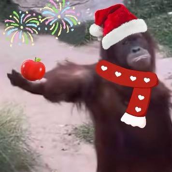 凌晨五点在沈阳大街裸奔让50岁保安锁喉