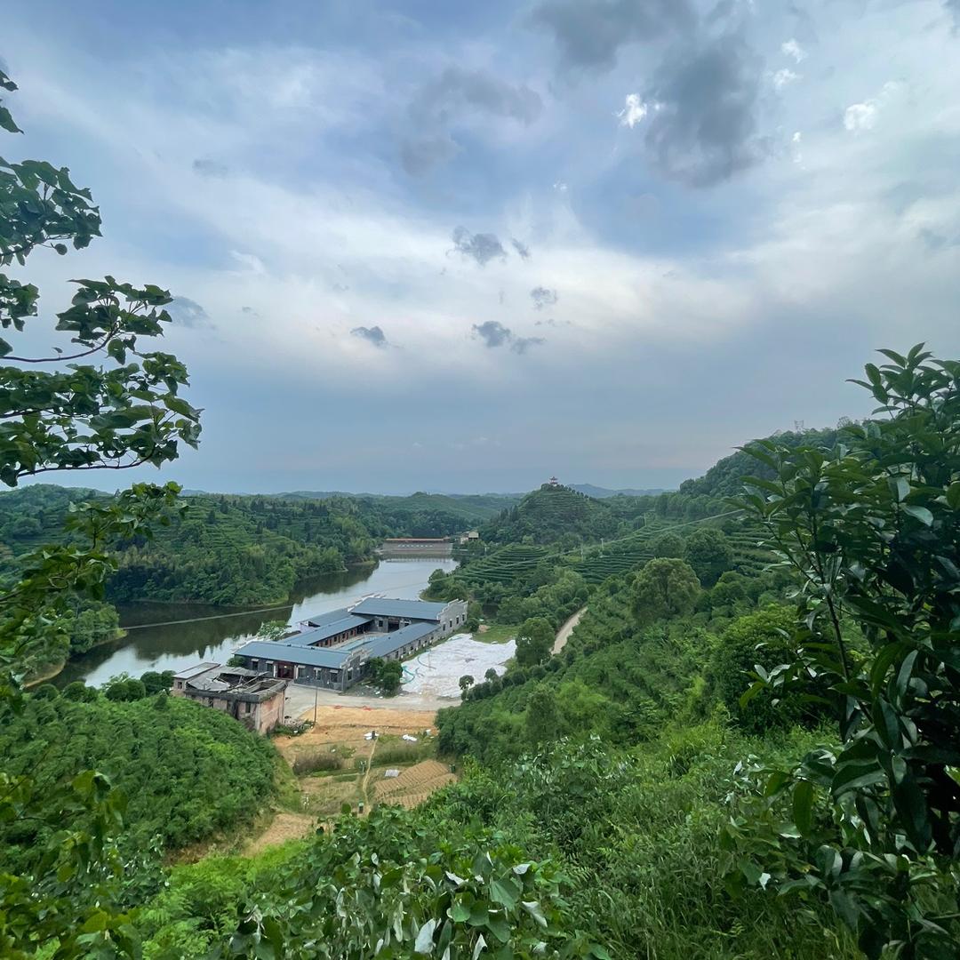 云雾山间