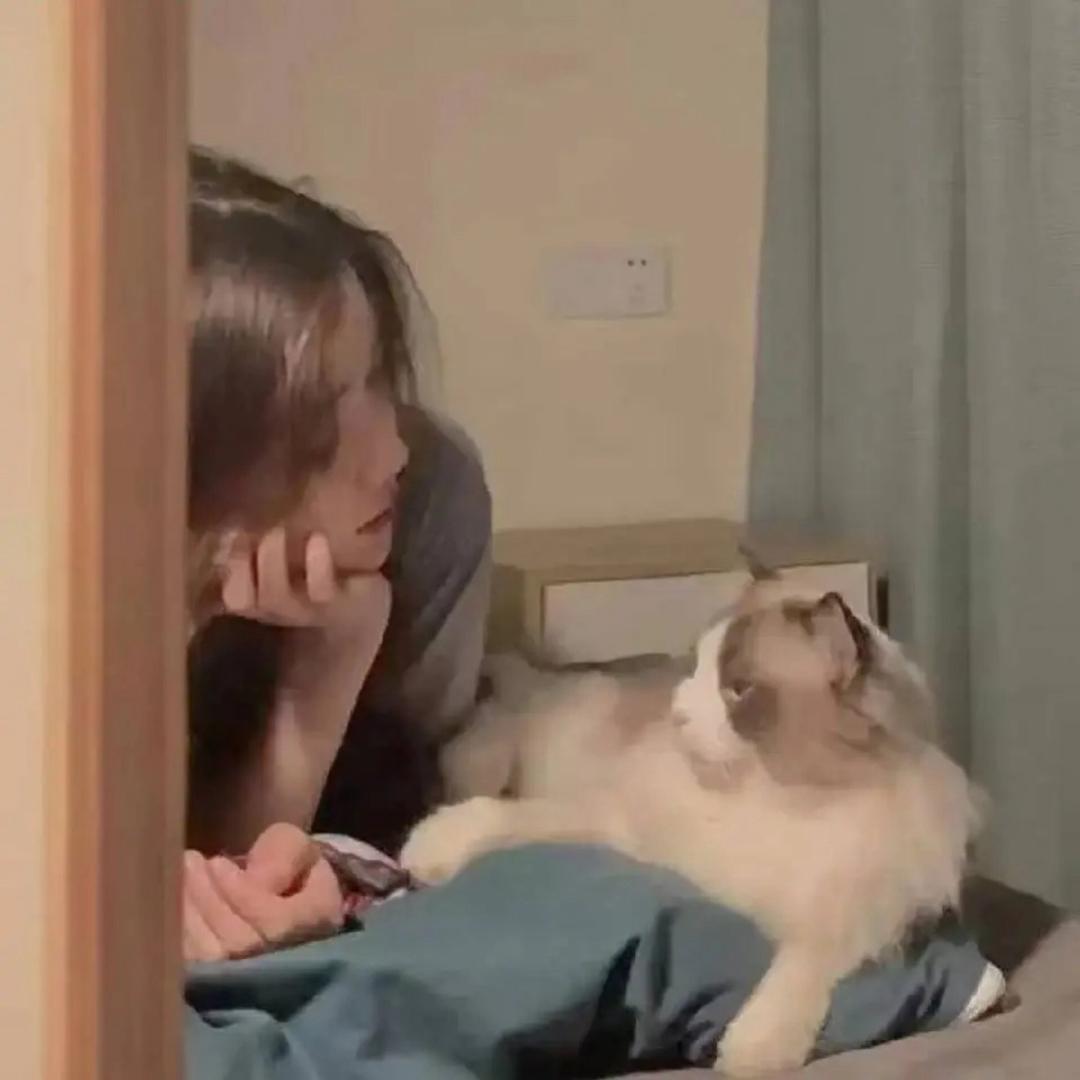 ￴￴ ￴￴ ￴无忧