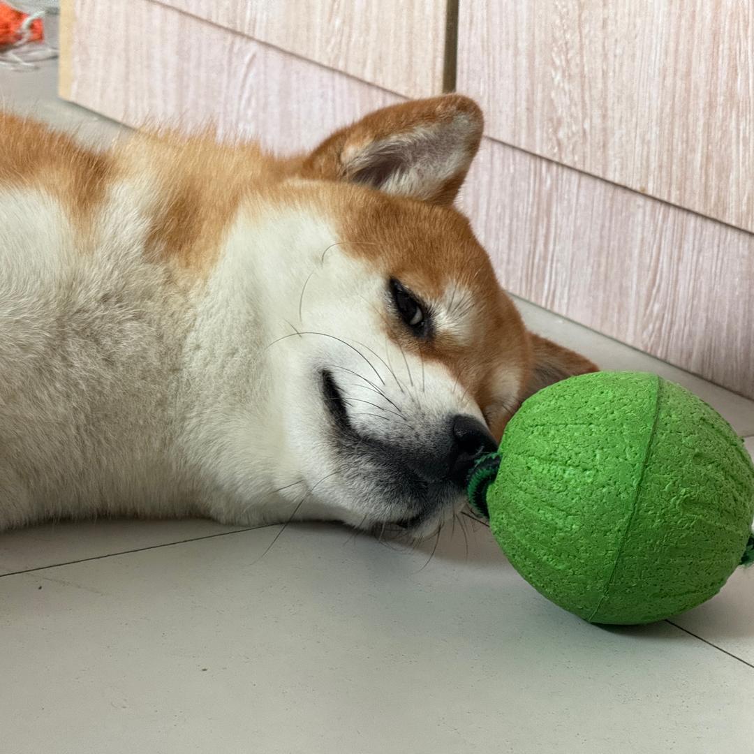 Tc、小天
