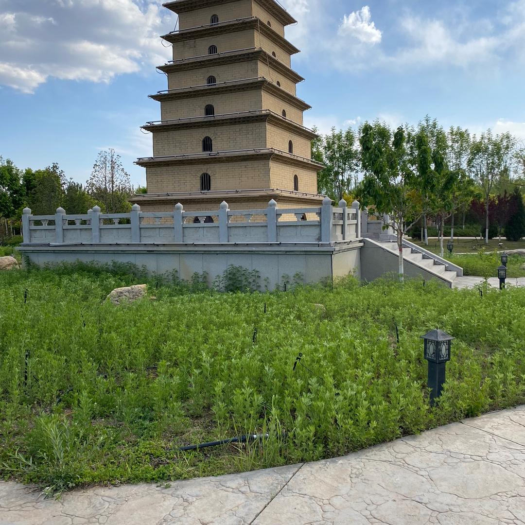 自己创业，南方到北方