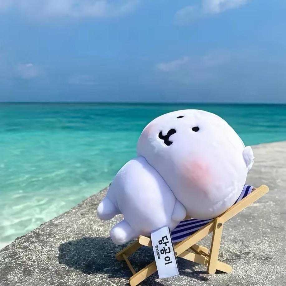 飞飞猪（抗痘版）