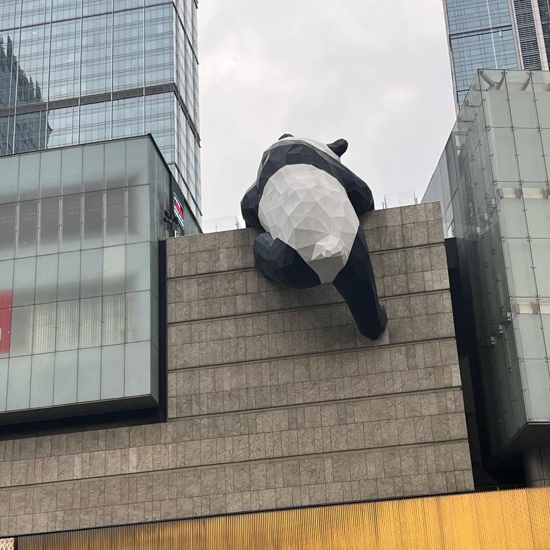 叙白