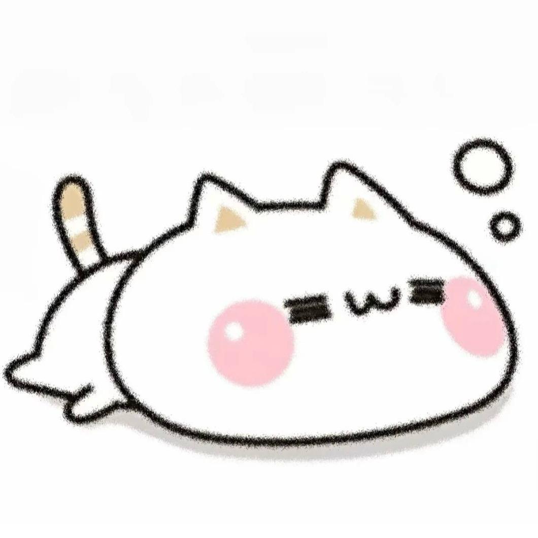 小菲不菜