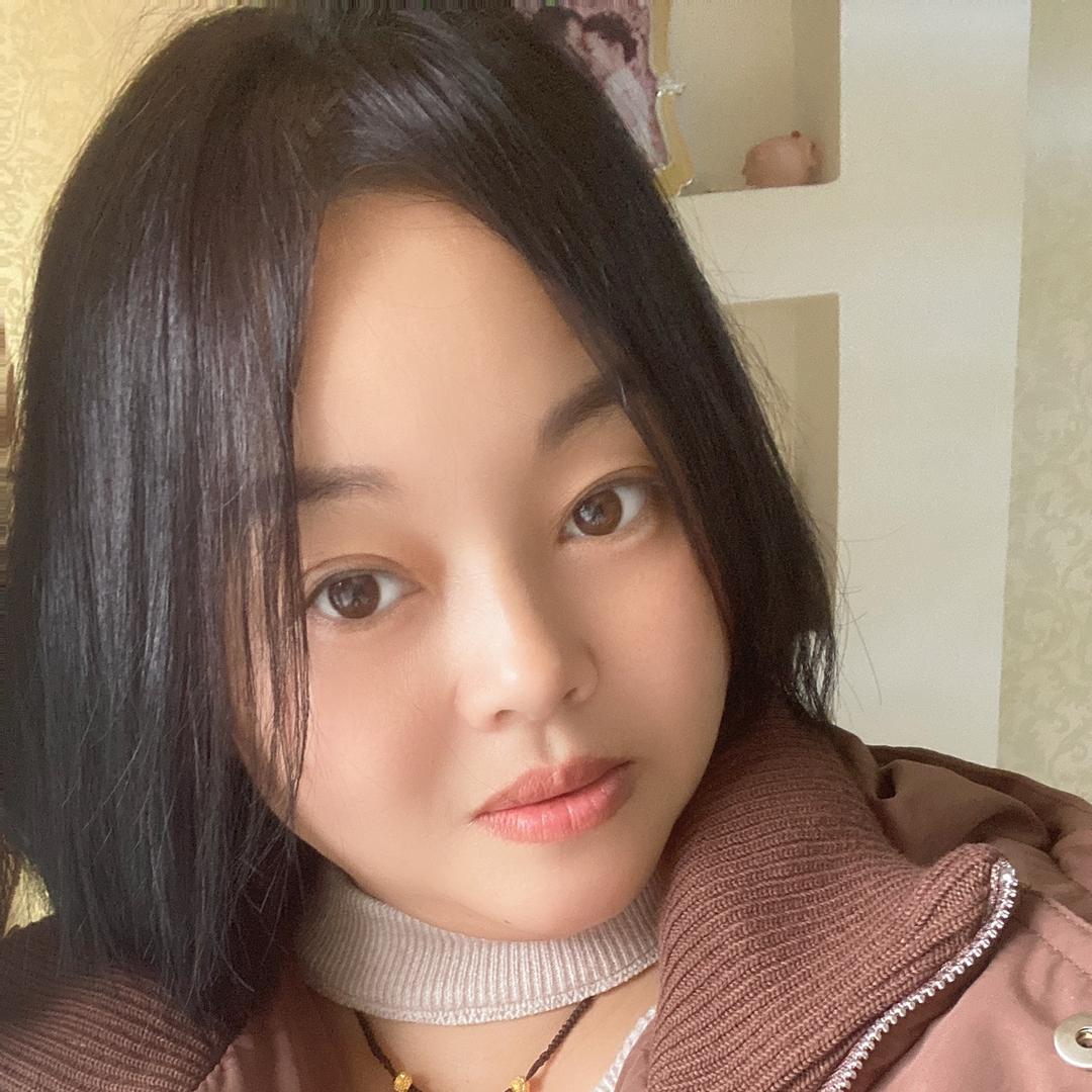 苦丁茶