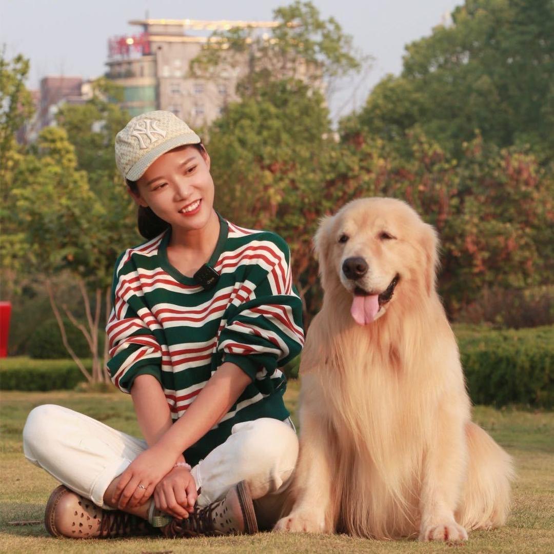 南阳卧龙清风犬舍