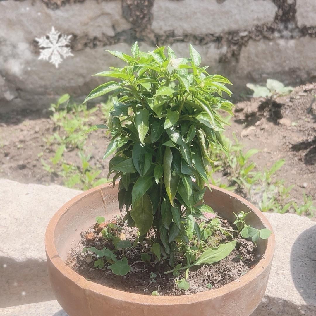 九游👩🏼‍🤝‍👨🏻小助理