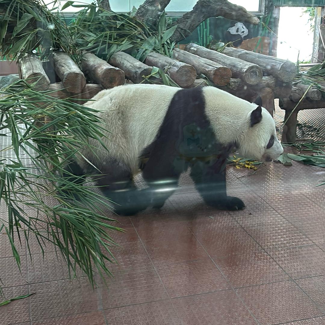 ✨好好好✨