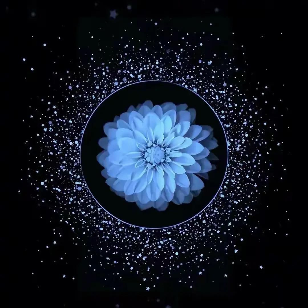 钱呼万唤