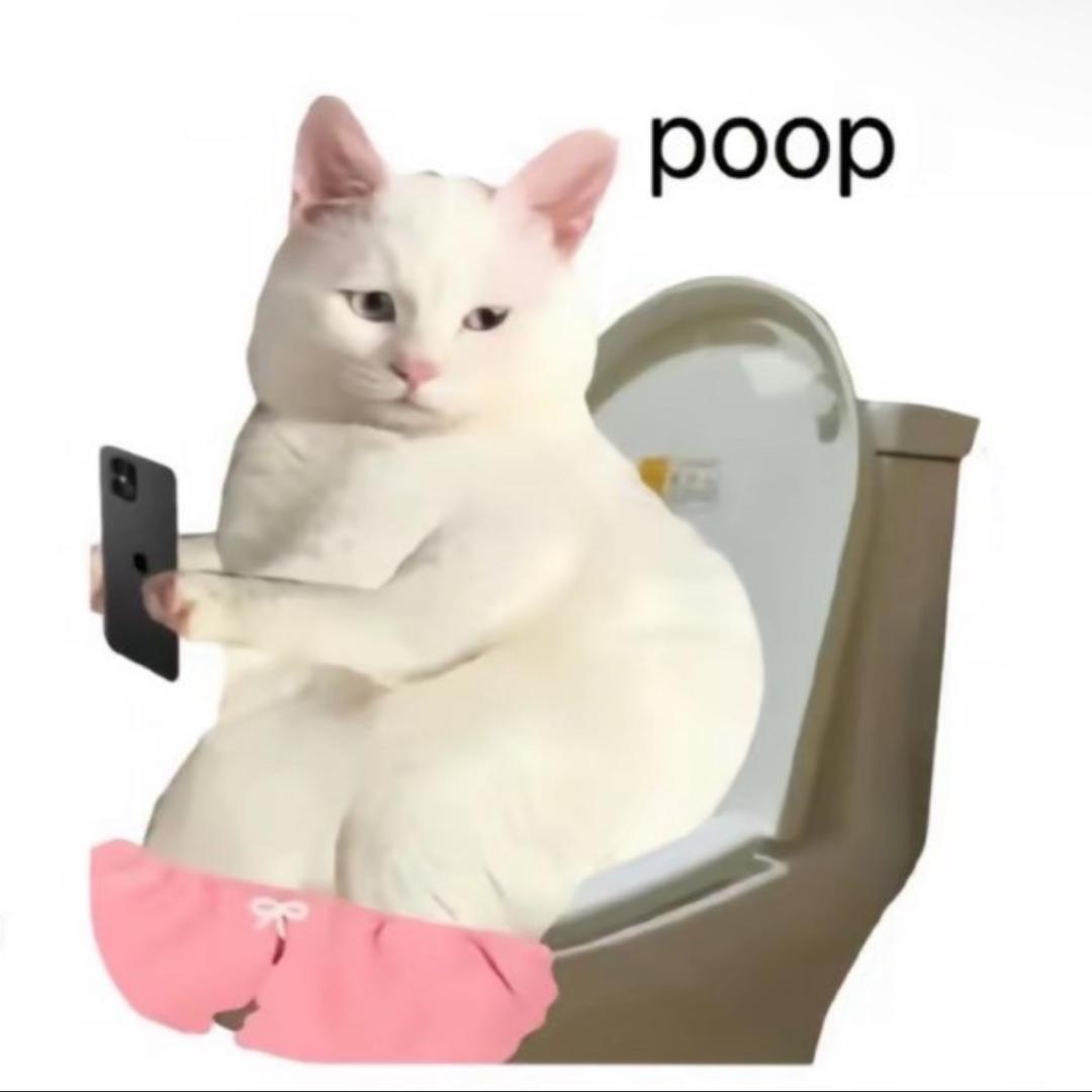 Wviwvi小猪