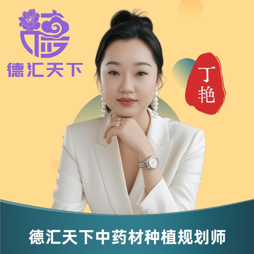 德汇天下  丁艳