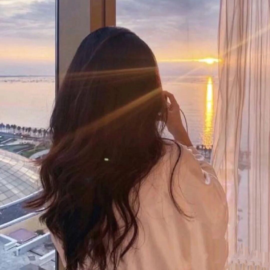 月光下的凤尾竹🌛