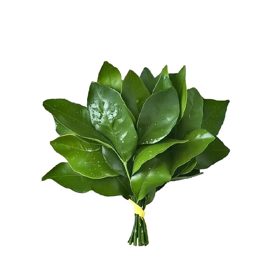 7椰