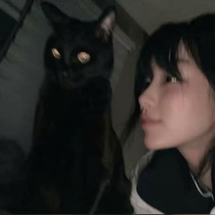 鱼鱼。