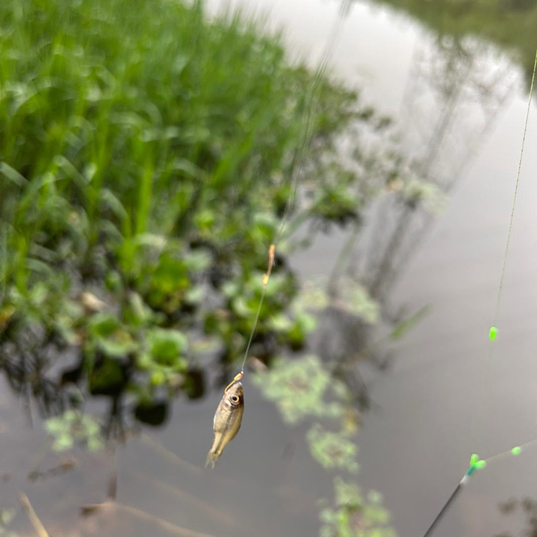 农掌柜【赣南乡村土特产】