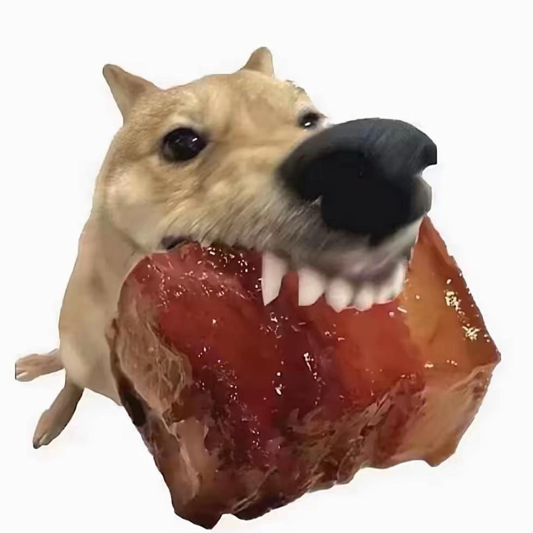 仓鼠妹妹🧀