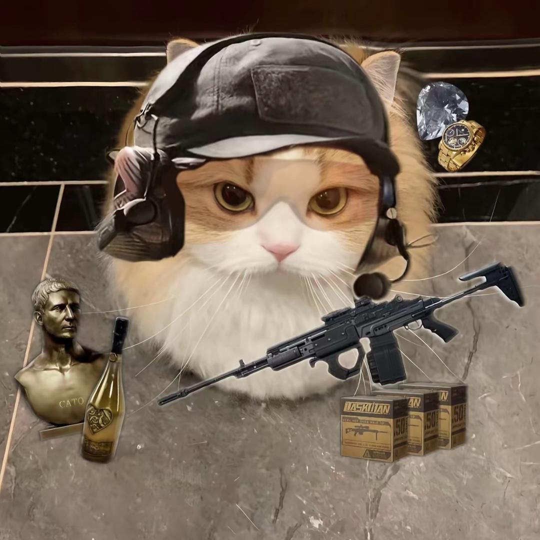 小成（三角洲行动）