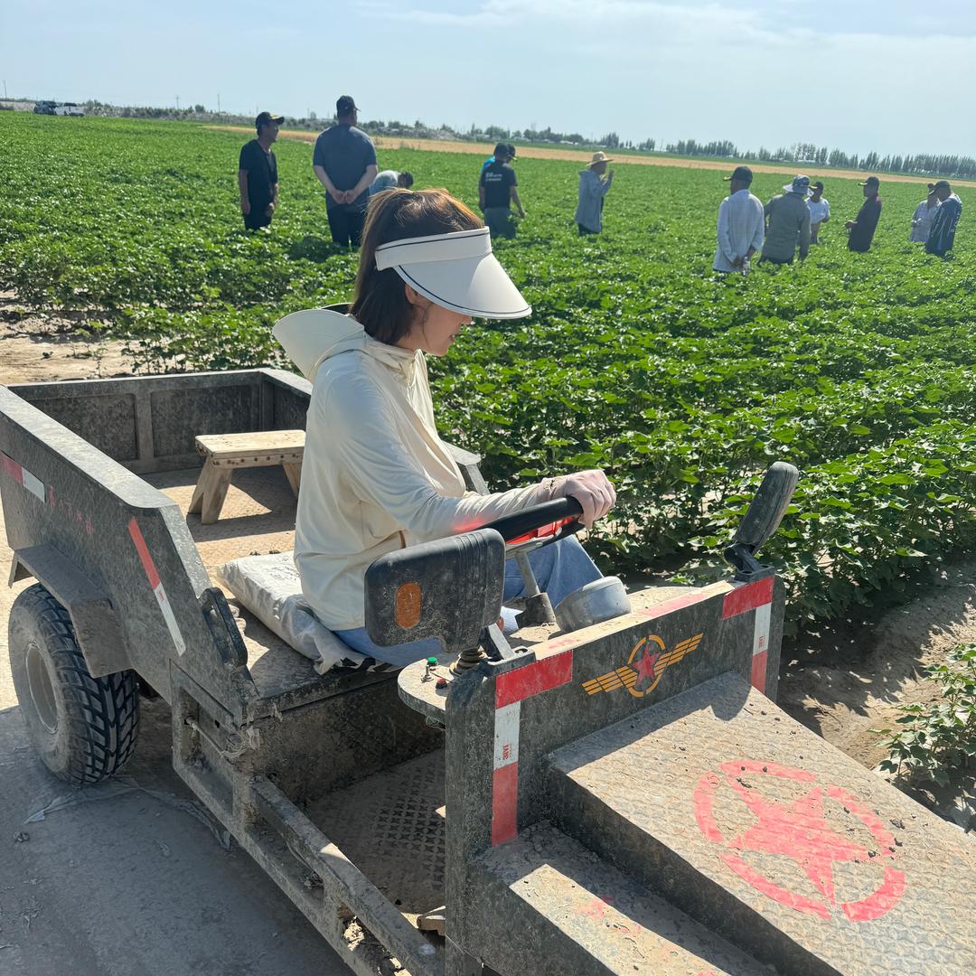 李丹-亚克西种业