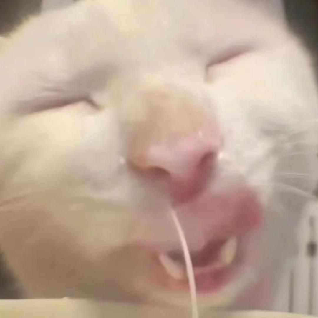 小鱼鱼🐟