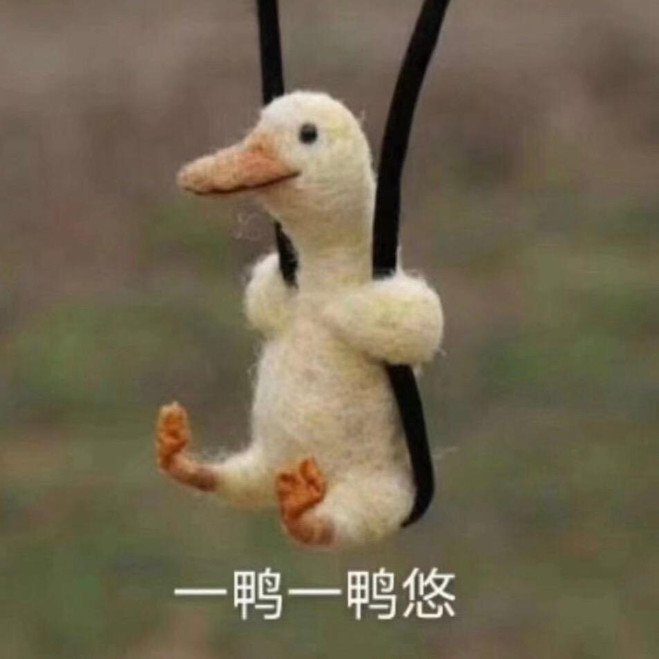 小笨蛋💪🏿💪🏿💪🏿💪🏿