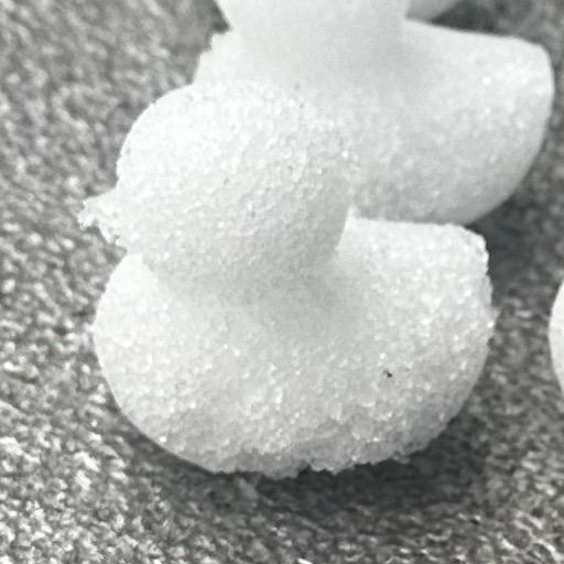 涵仔（沉淀版）