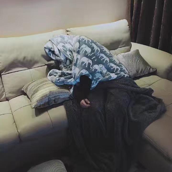 CC呀
