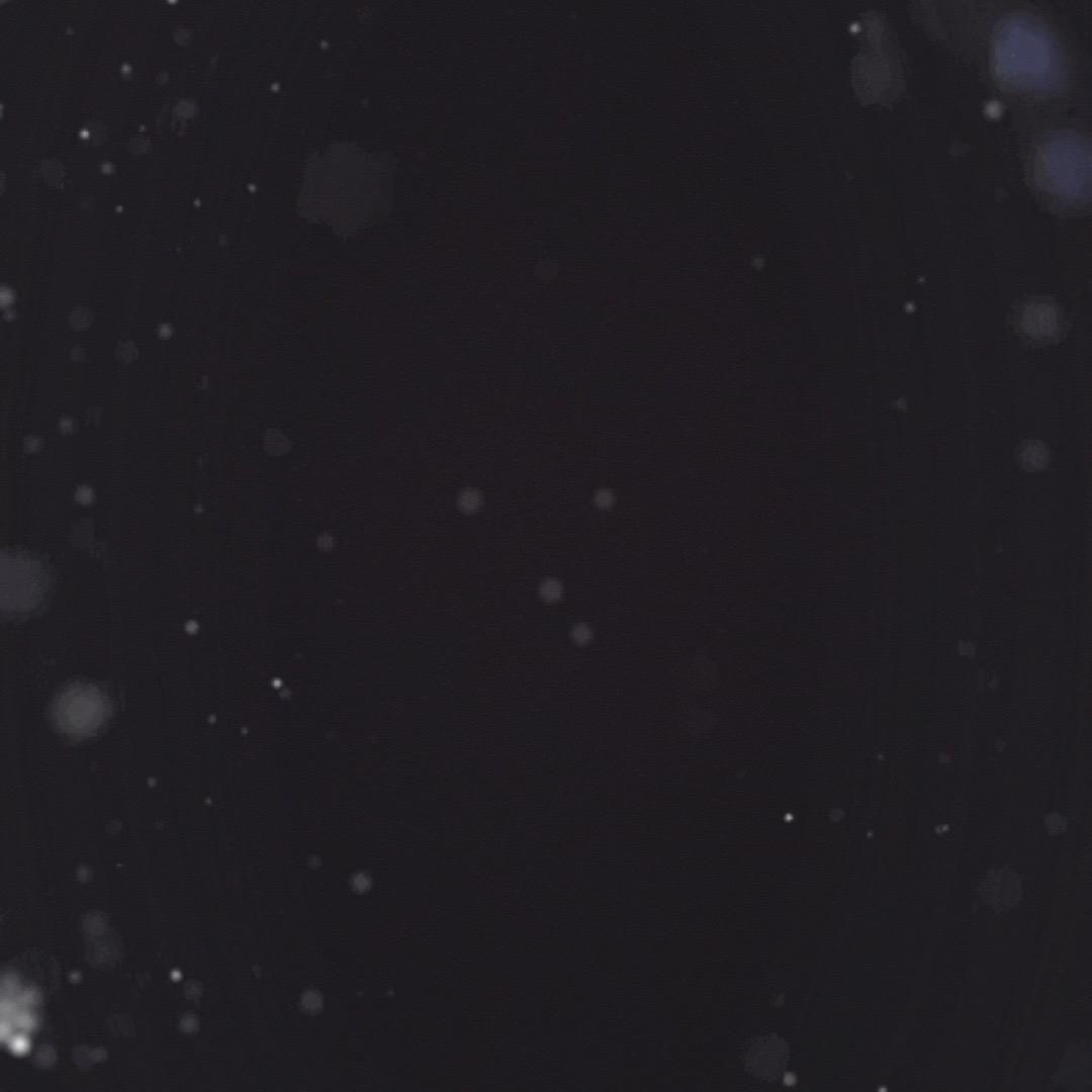 .su