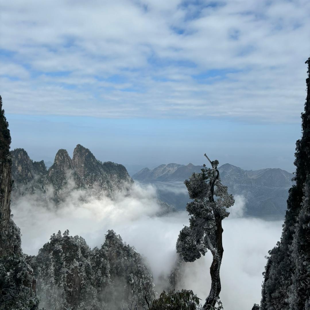 小杨