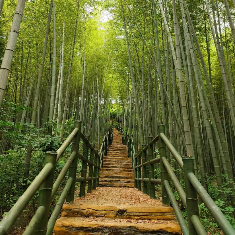 全爱涛综合百货创意屋