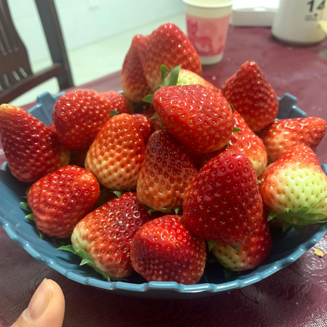 憨憨头像