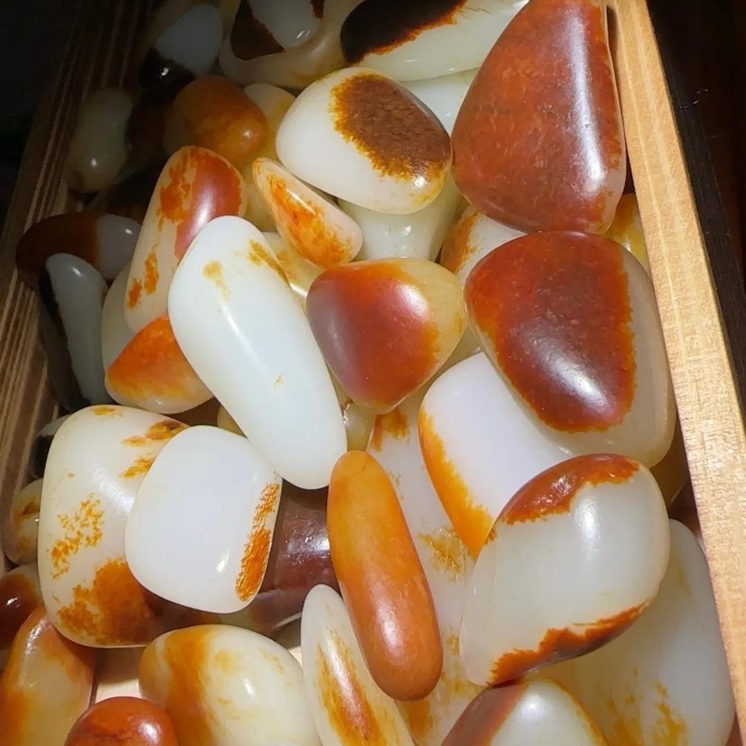 润泽籽玉