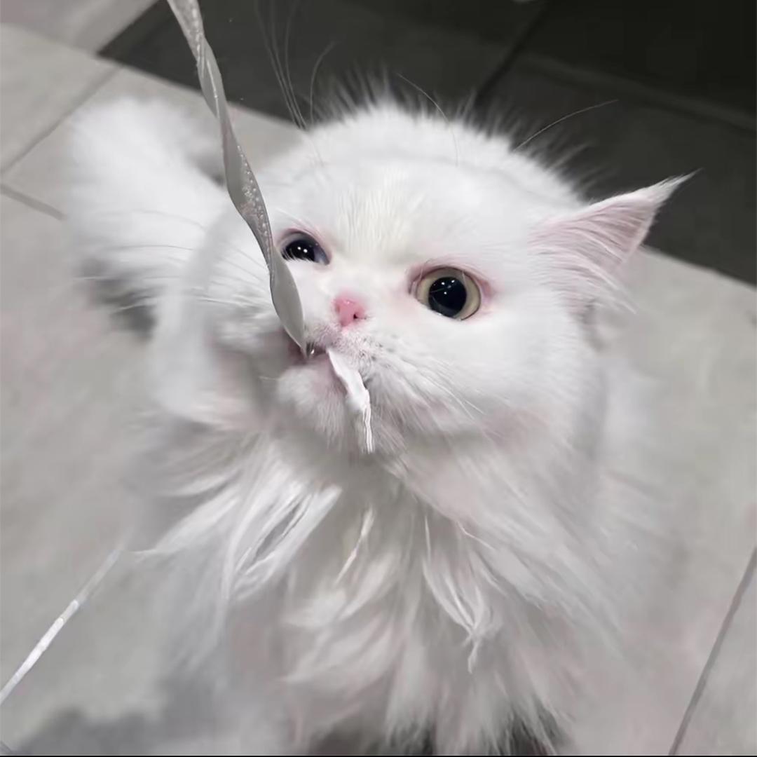 我也叫咕噜（asmr 12.10生日版）